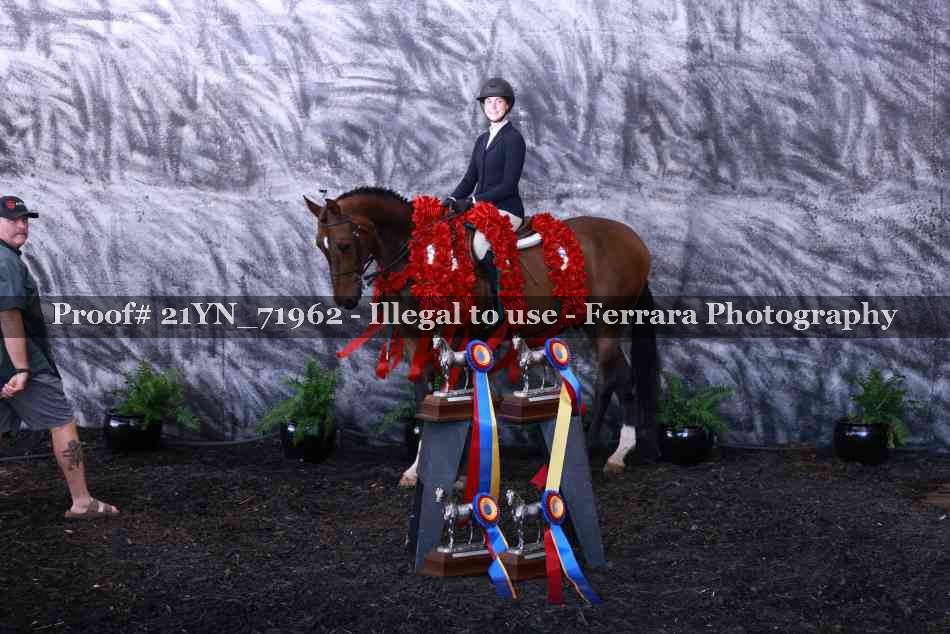 Proof 21YN_71962