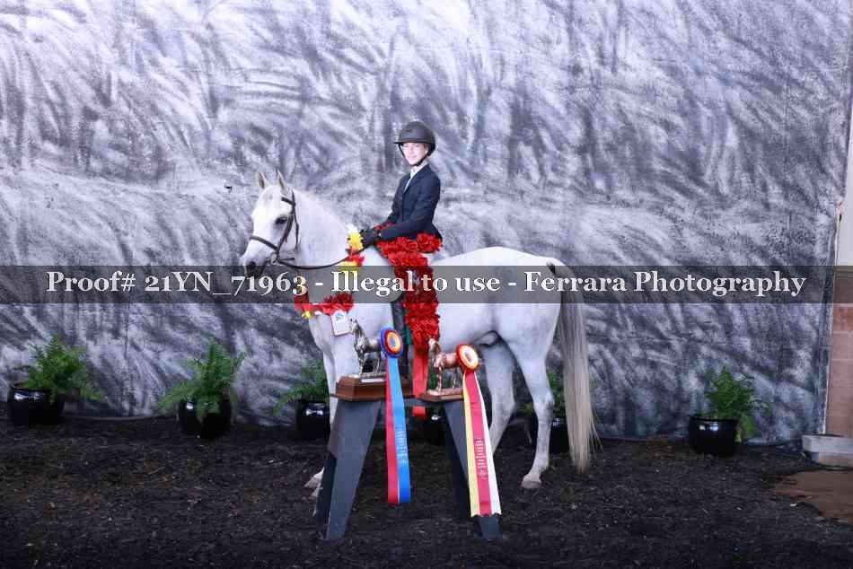 Proof 21YN_71963