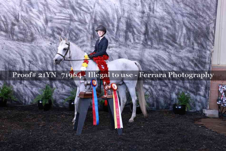 Proof 21YN_71964