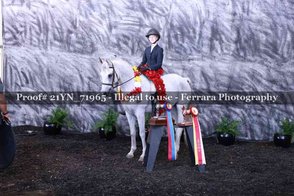 Proof 21YN_71965