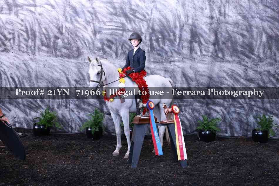 Proof 21YN_71966