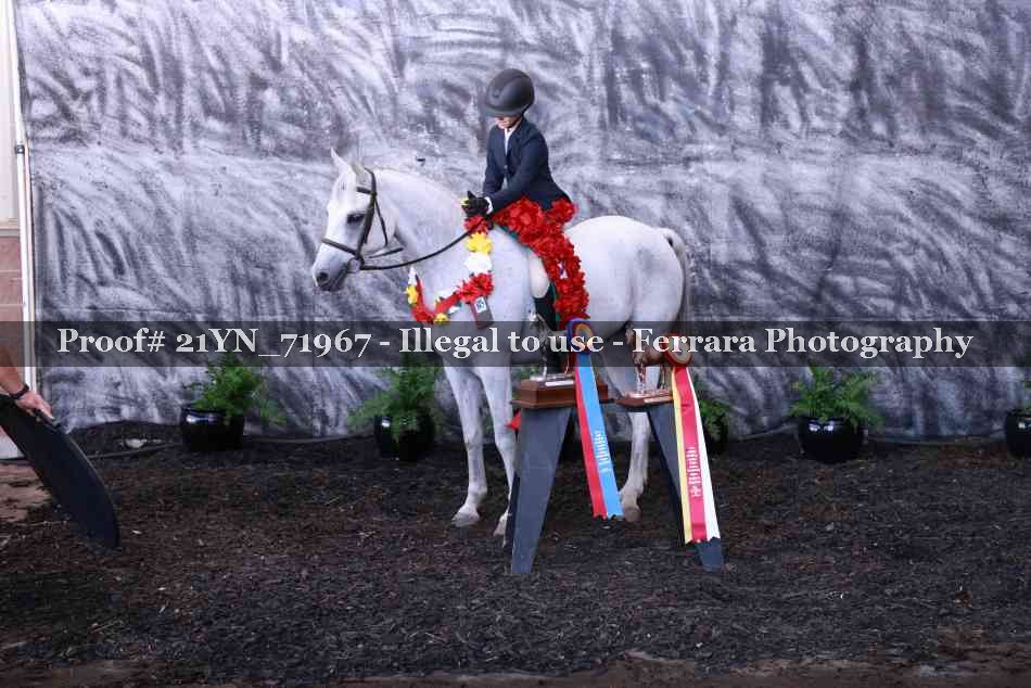 Proof 21YN_71967
