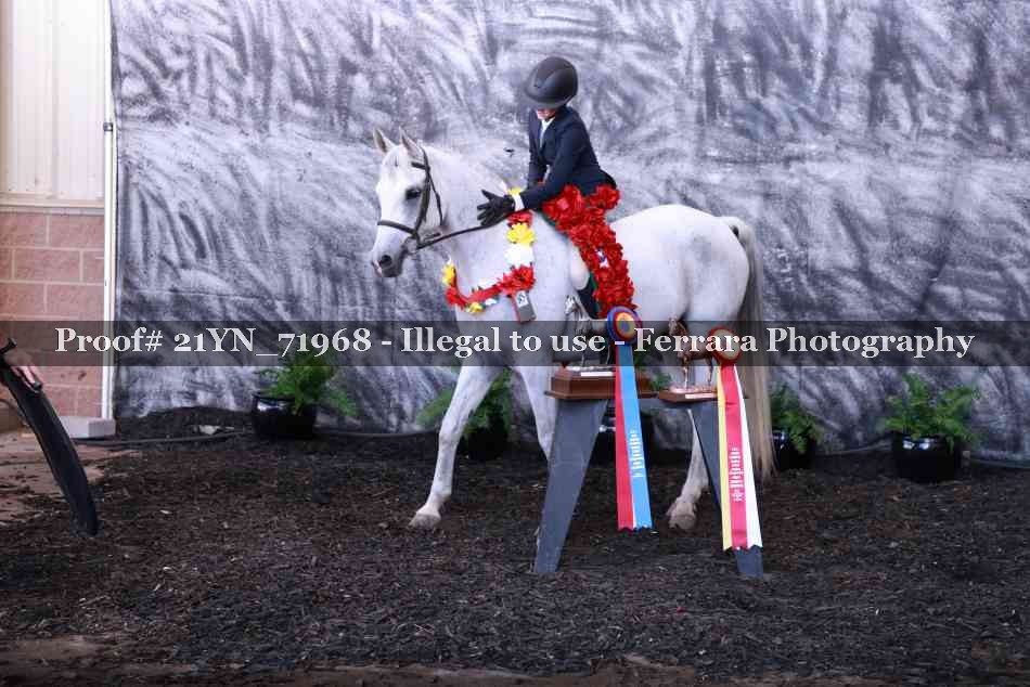 Proof 21YN_71968