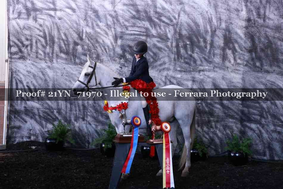 Proof 21YN_71970