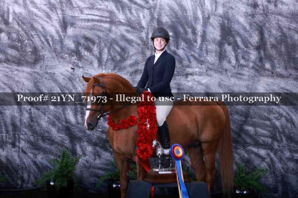 Proof 21YN_71973