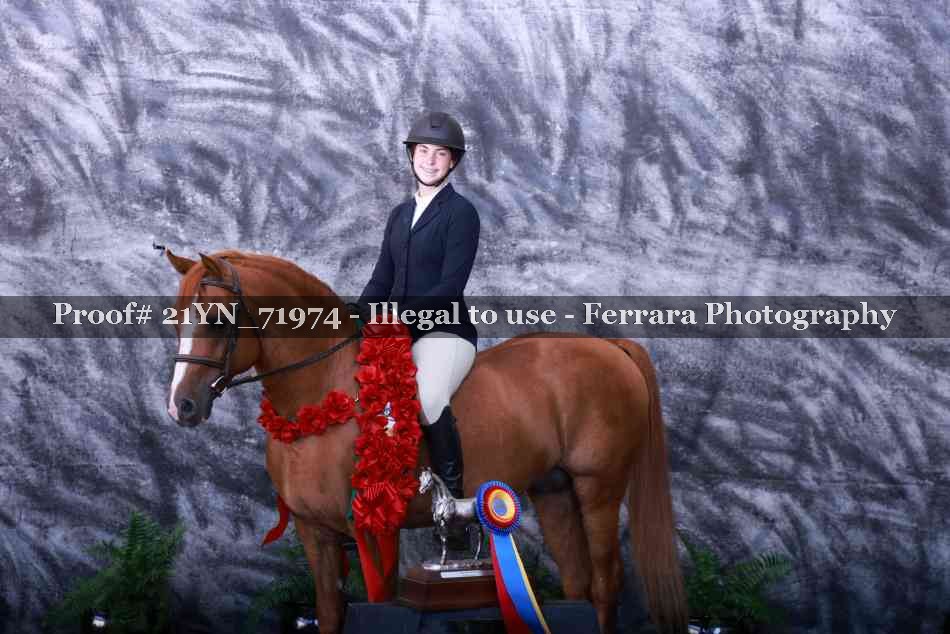 Proof 21YN_71974