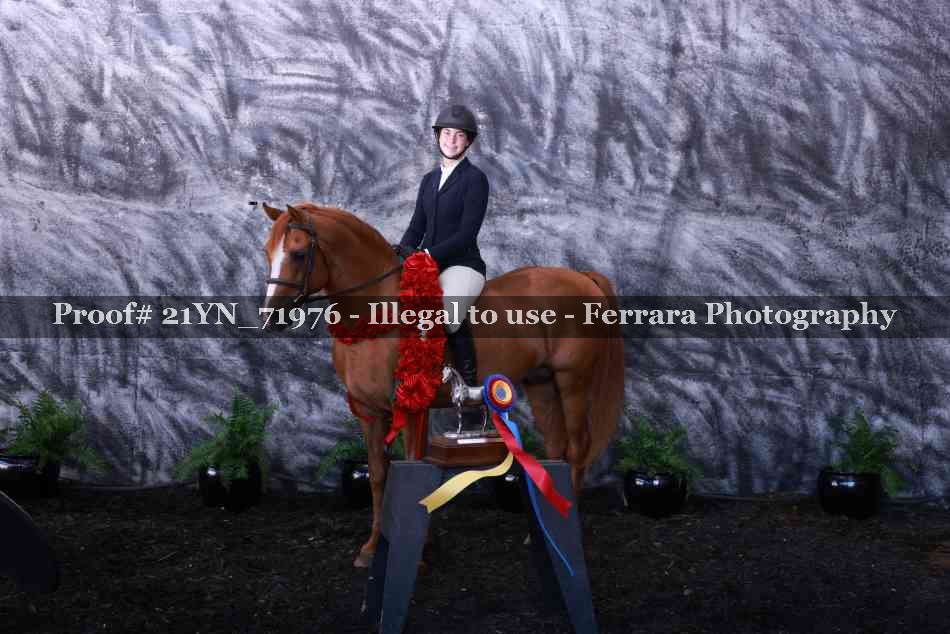 Proof 21YN_71976
