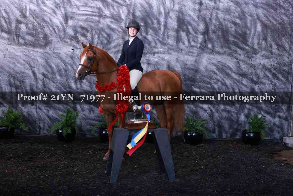 Proof 21YN_71977