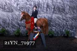 21YN_71977 proof
