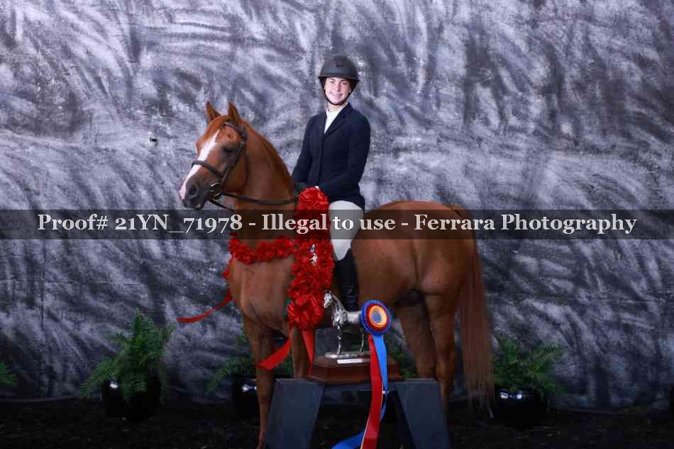 Proof 21YN_71978