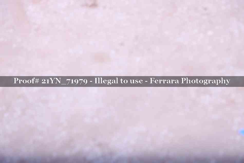 Proof 21YN_71979