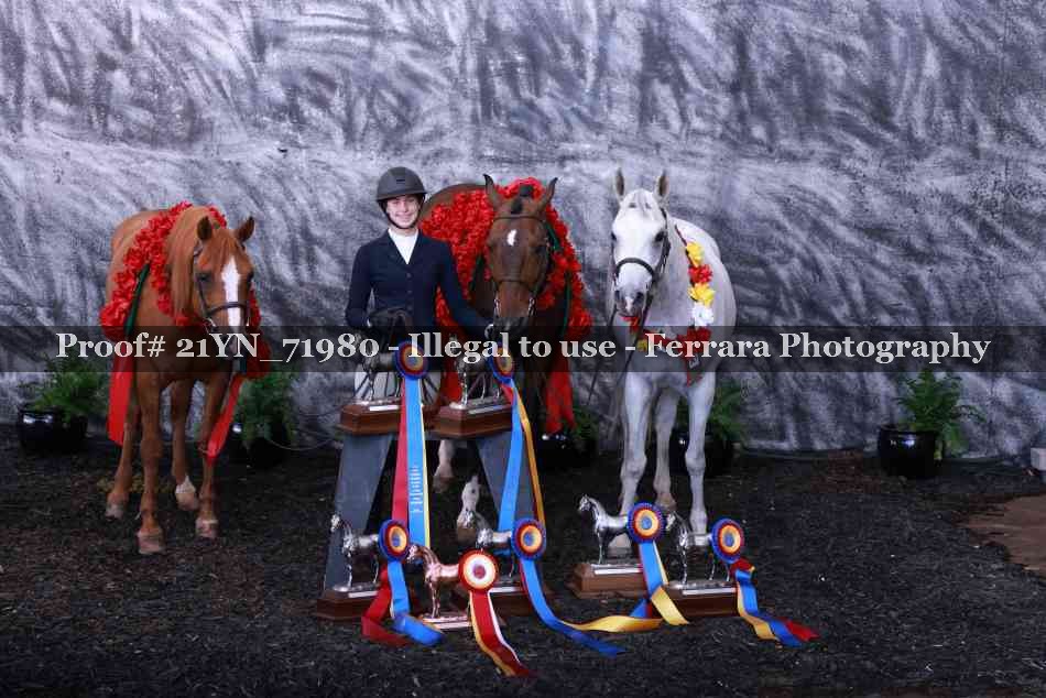 Proof 21YN_71980