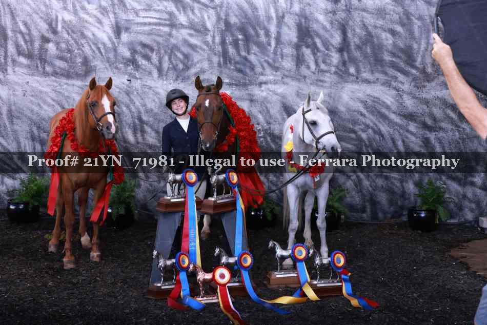 Proof 21YN_71981