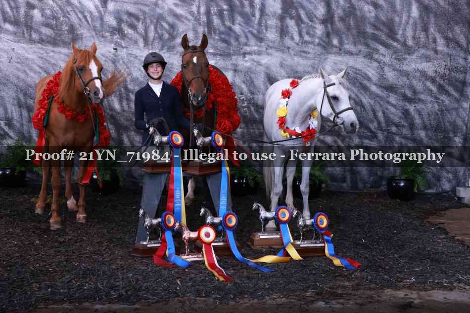Proof 21YN_71984