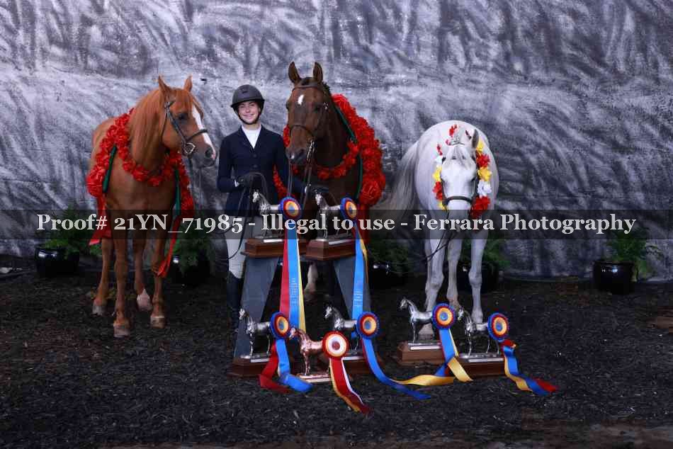 Proof 21YN_71985