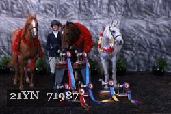 21YN_71987 proof