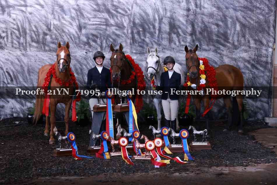Proof 21YN_71995