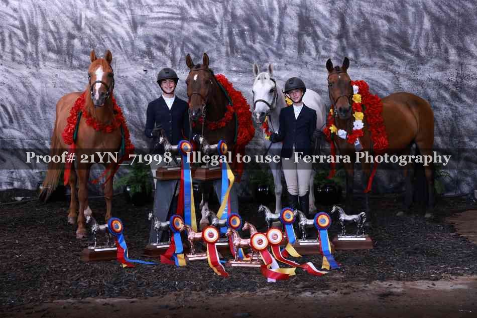 Proof 21YN_71998