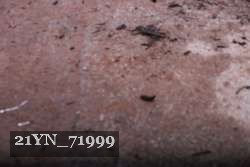 21YN_71999 proof