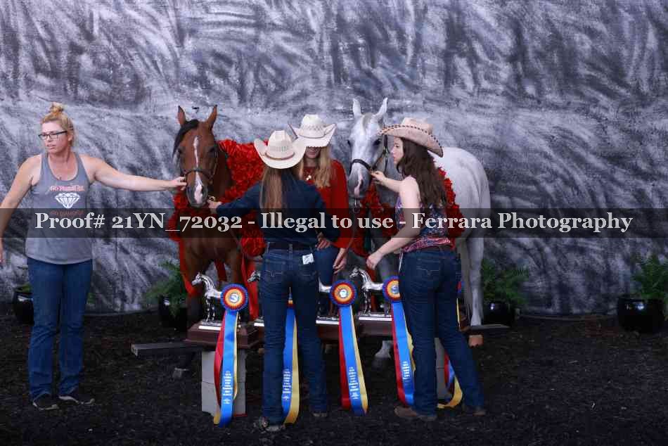 Proof 21YN_72032