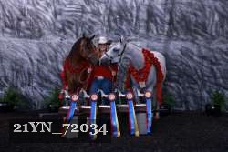 21YN_72034 proof