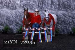 21YN_72035 proof