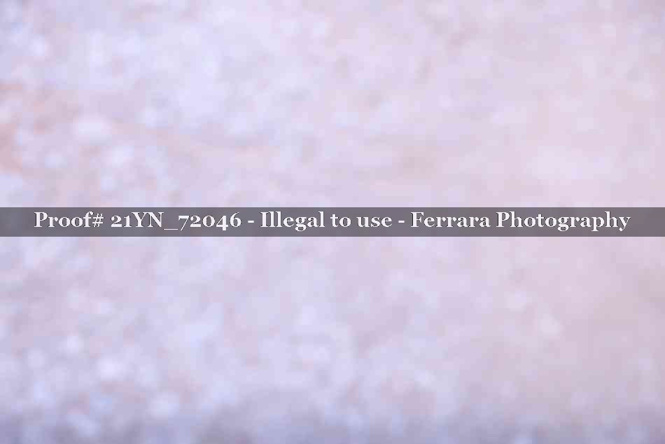 Proof 21YN_72046