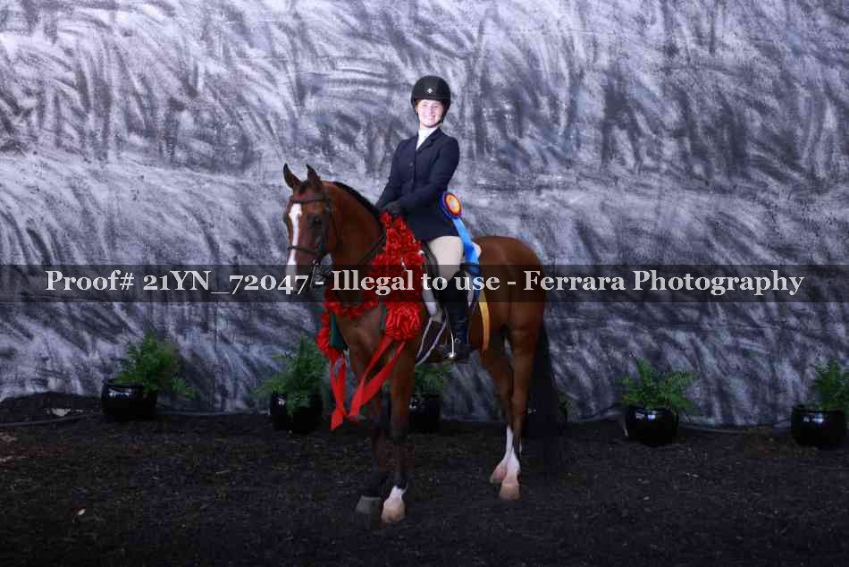 Proof 21YN_72047