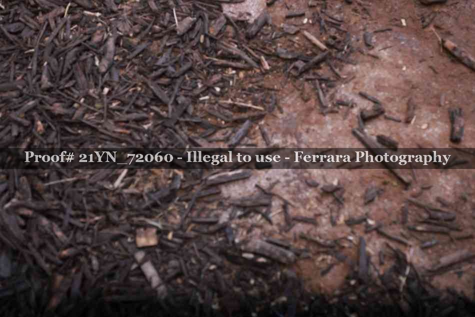 Proof 21YN_72060