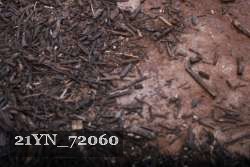 21YN_72060 proof