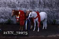 21YN_72075 proof