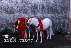 21YN_72077 proof