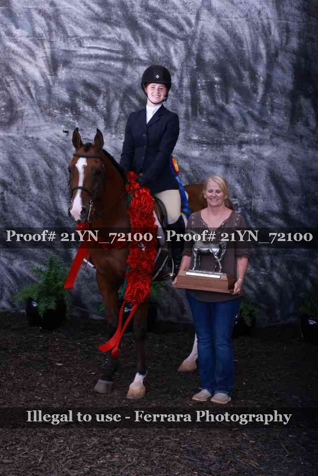 Proof 21YN_72100