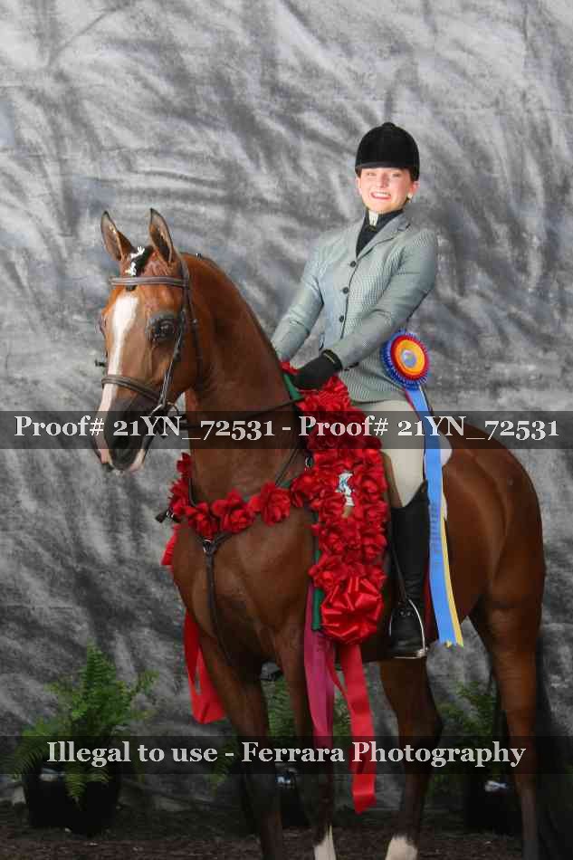 Proof 21YN_72531