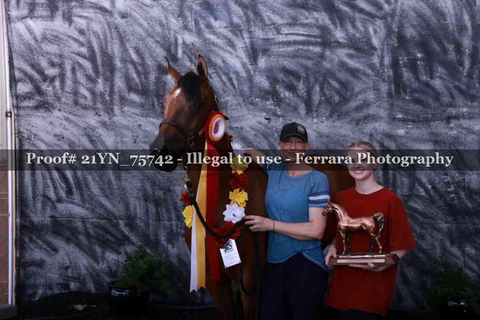Proof 21YN_75742