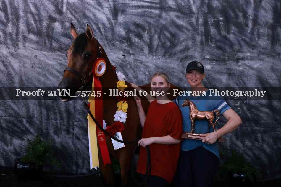 Proof 21YN_75745