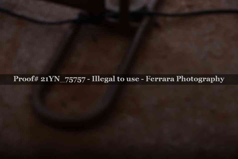 Proof 21YN_75757