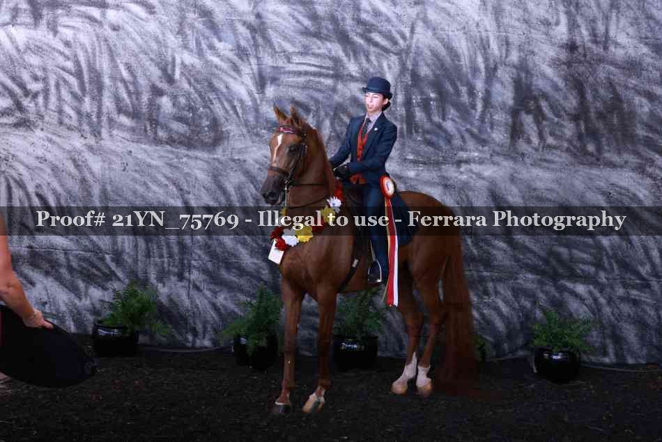 Proof 21YN_75769