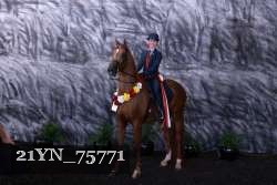 21YN_75771 proof