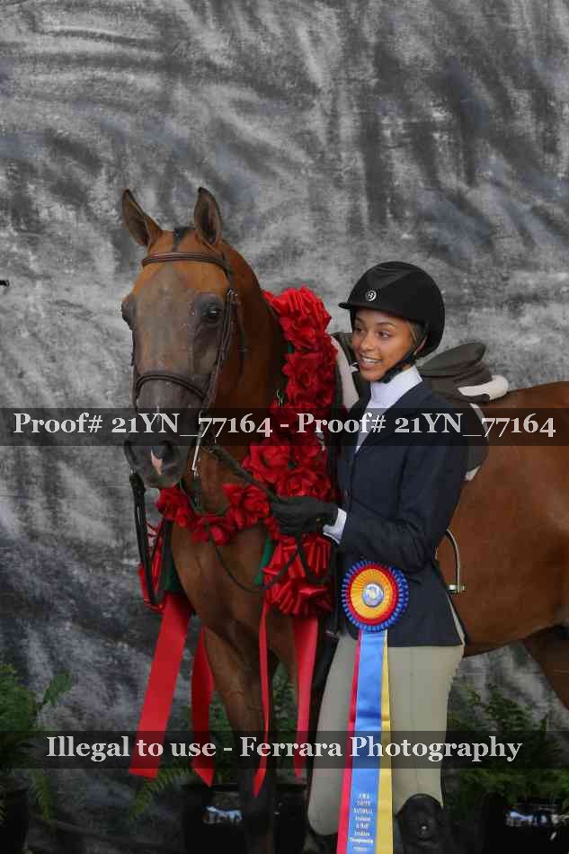 Proof 21YN_77164