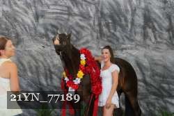 21YN_77189 proof