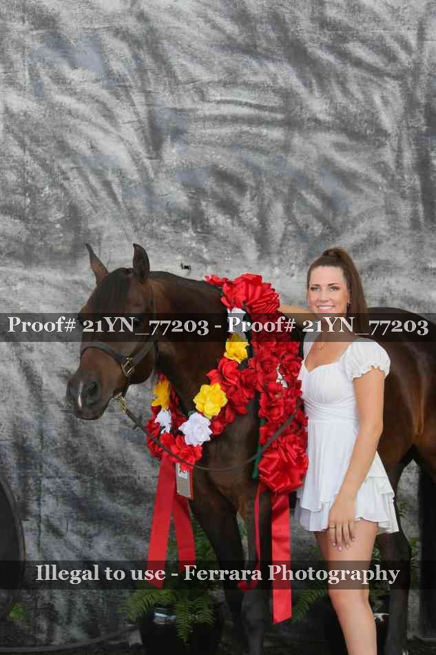 Proof 21YN_77203