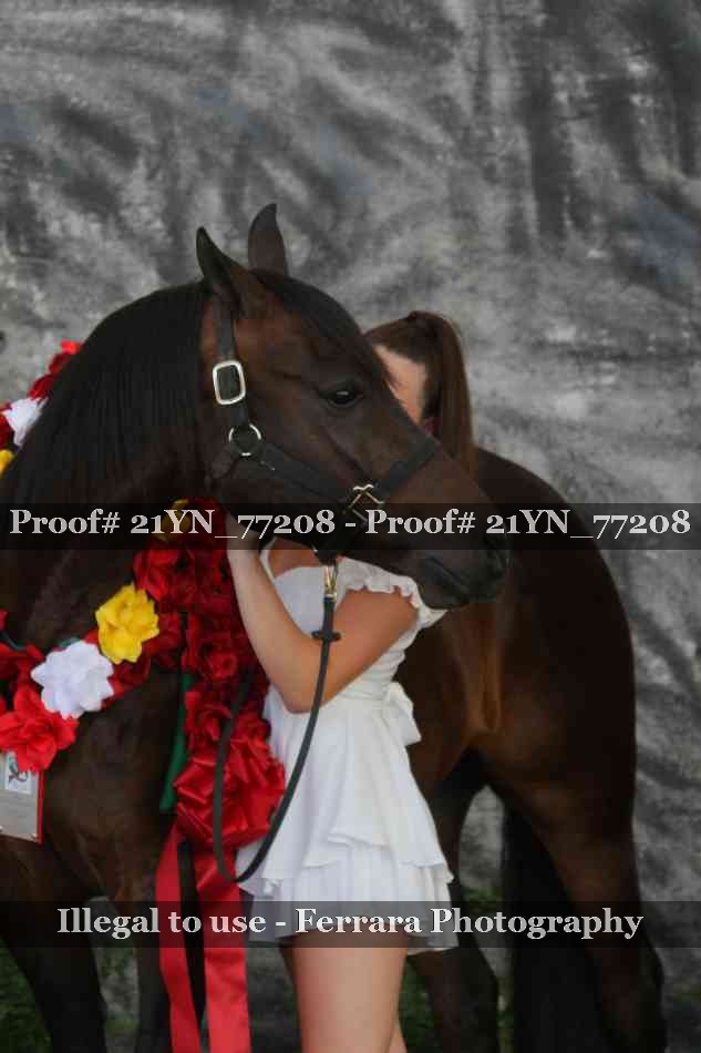 Proof 21YN_77208