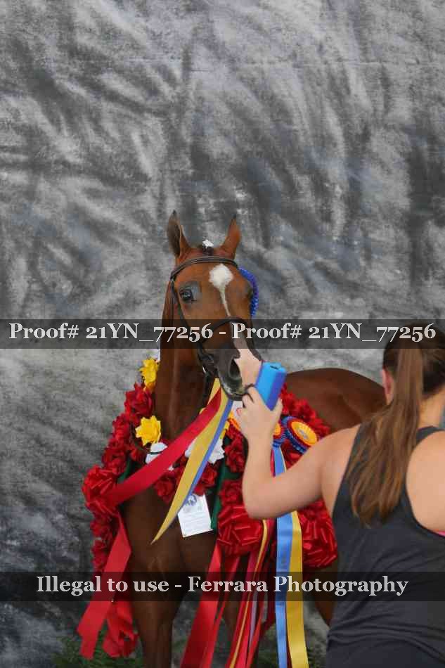 Proof 21YN_77256