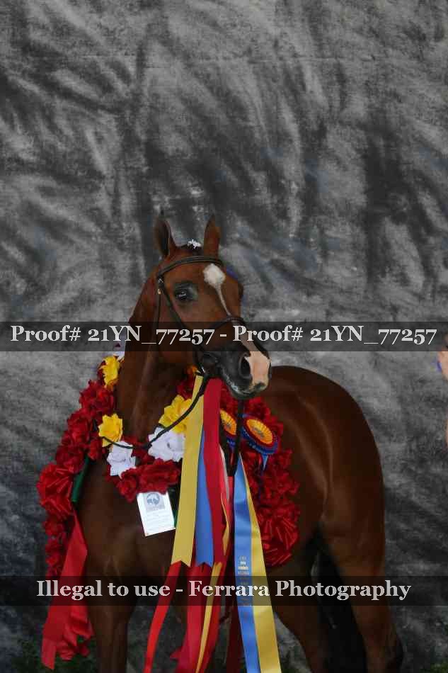 Proof 21YN_77257