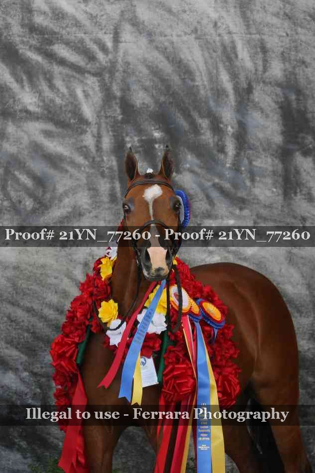Proof 21YN_77260