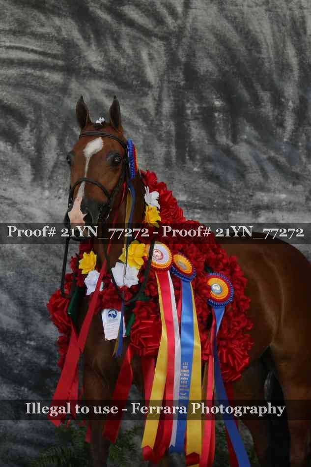 Proof 21YN_77272