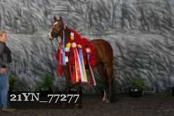 21YN_77277 proof