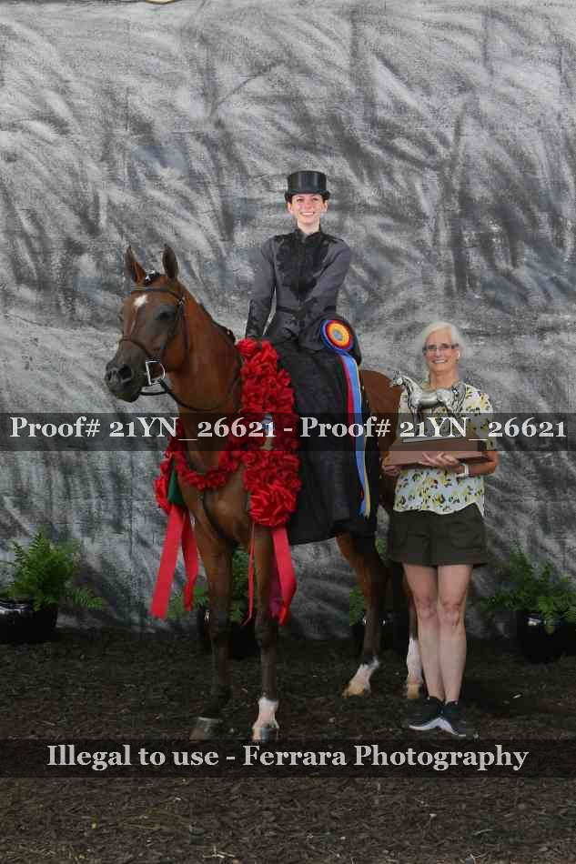 Proof 21YN_26621