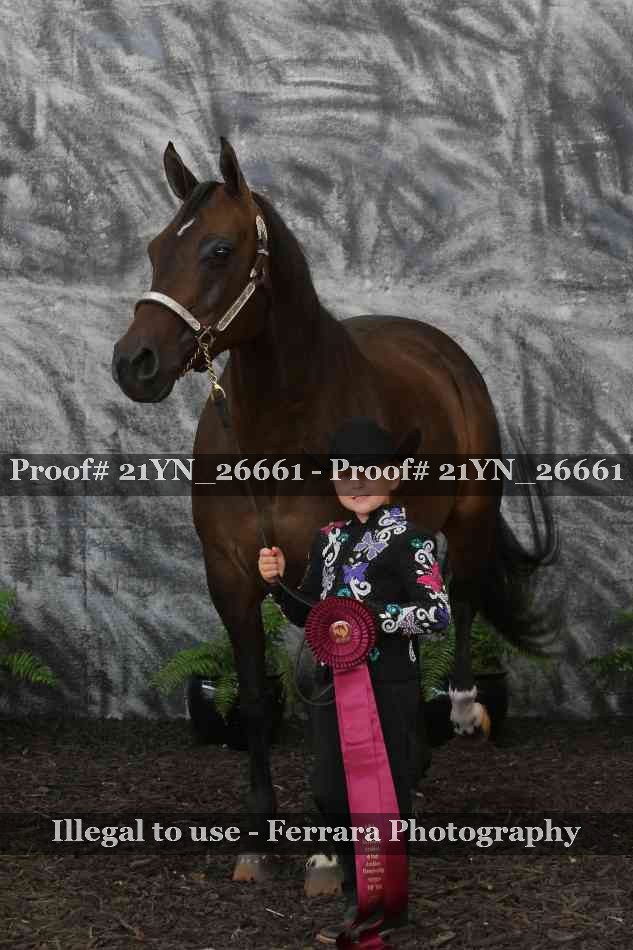 Proof 21YN_26661